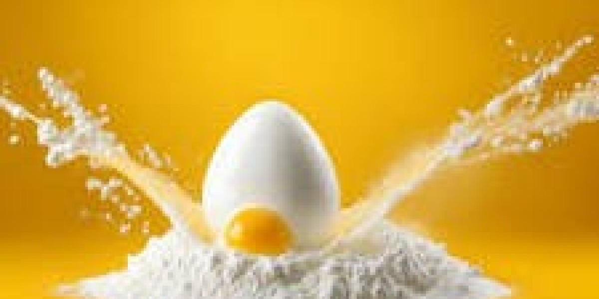 Egg Powder Market Size Forecast Report 2024-2030