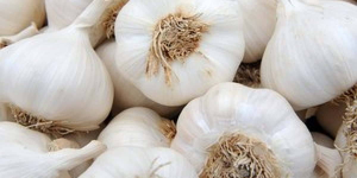 Garlic Market Size, Share, Growth, and Industry Analysis, Forecast to 2033