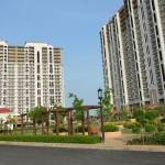 Dlf Heights