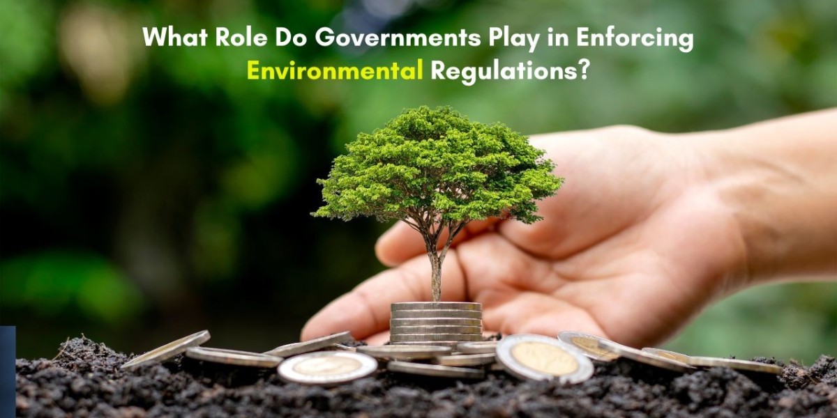 What Role Do Governments Play in Enforcing Environmental Regulations?