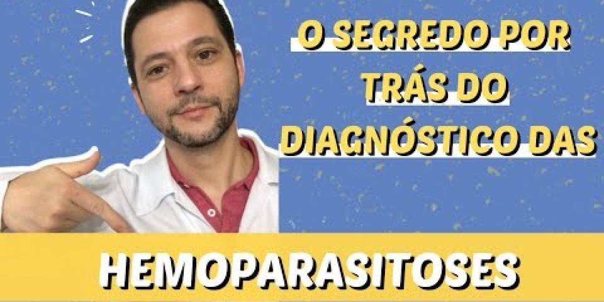 Quanto Tempo Realmente Leva um Eletrocardiograma em Cães? Entenda o Processo!