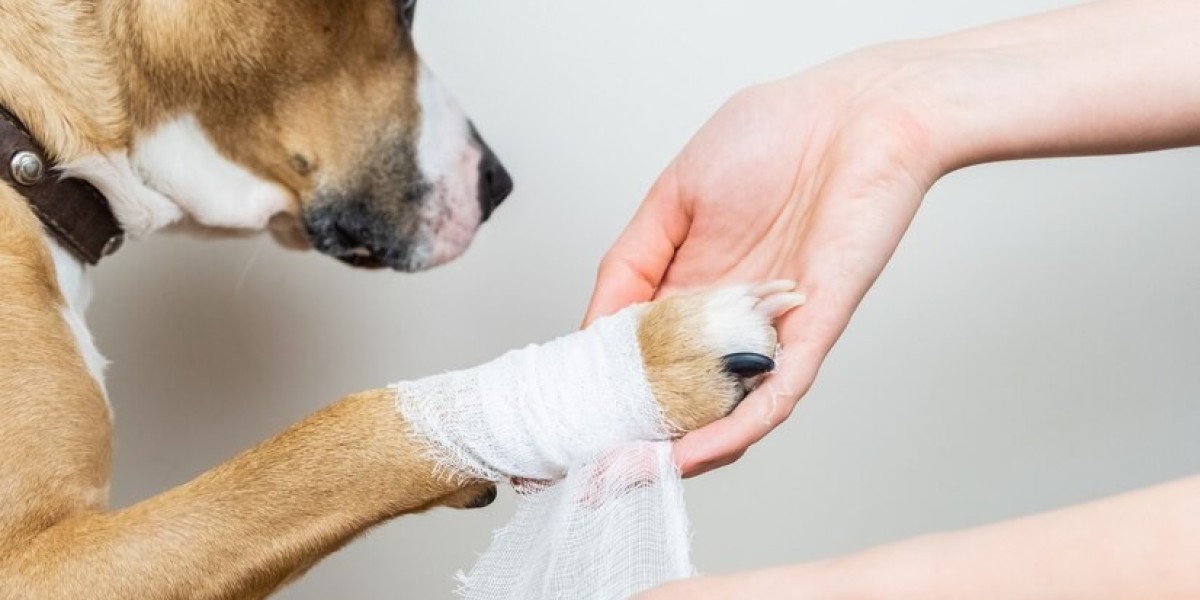 Comprehensive Analysis of the Global Animal Wound Care Market