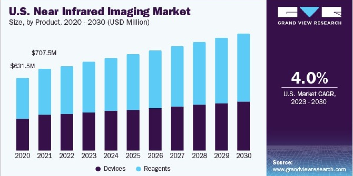 Near Infrared Imaging Market Performance: Analyzing Impact on Research and Diagnostics