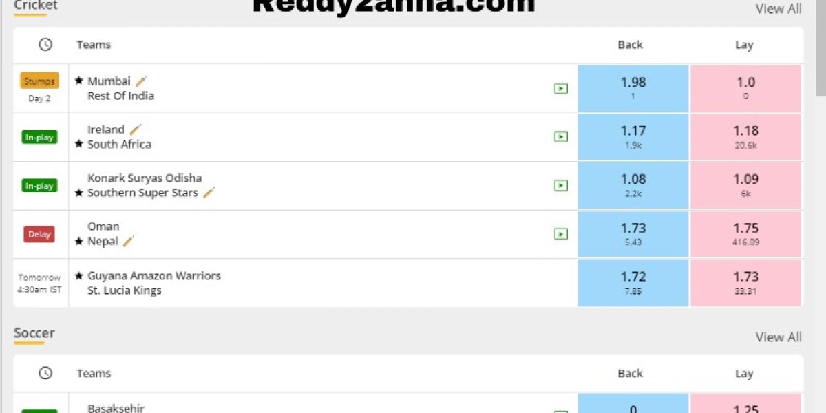 Mastering Cricket Betting on Reddy2anna: Tips, Strategies, and Best Practices