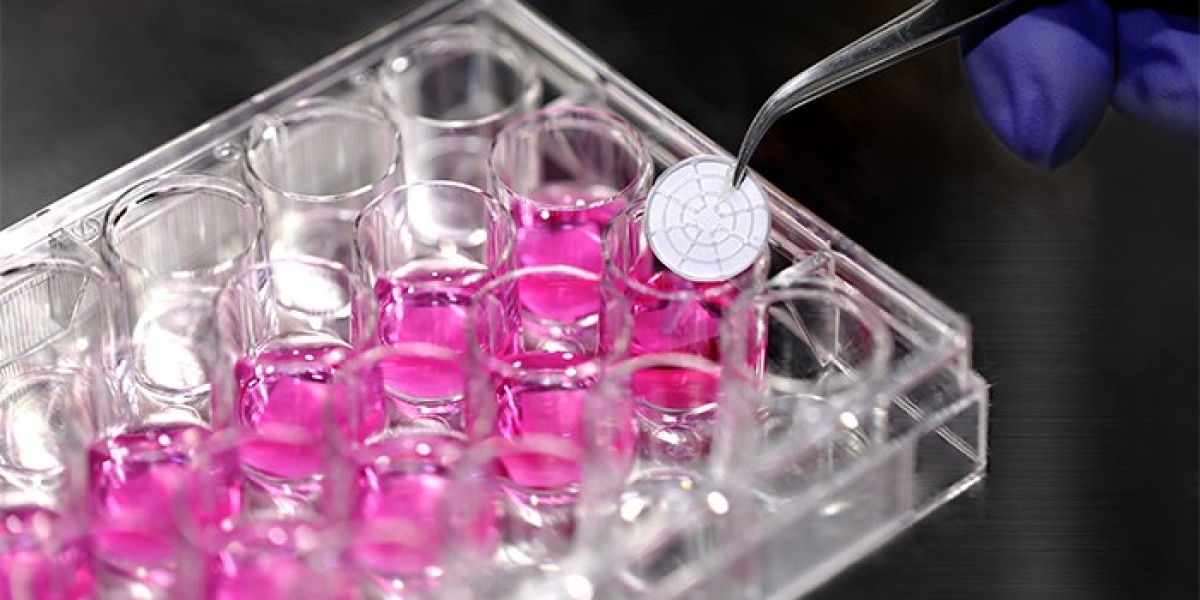 3D Cell Culture Market Growth Boosted by Expanding Use in Stem Cell and Regenerative Medicine