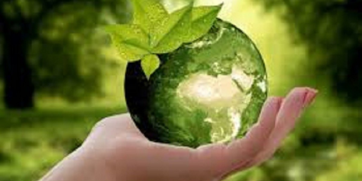 Development of Sustainable Bioenergy: Building a Greener Future