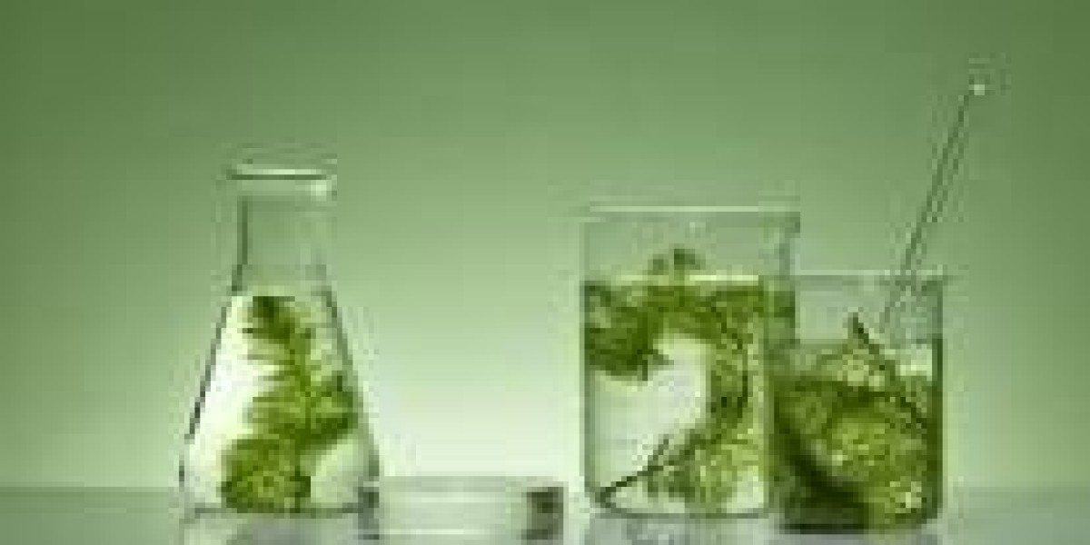 Algae Products Market Size Forecast Report 2024-2032