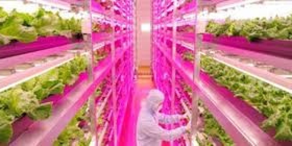 Japan Commercial Greenhouse Market Trends, Growth, Forecast to 2030