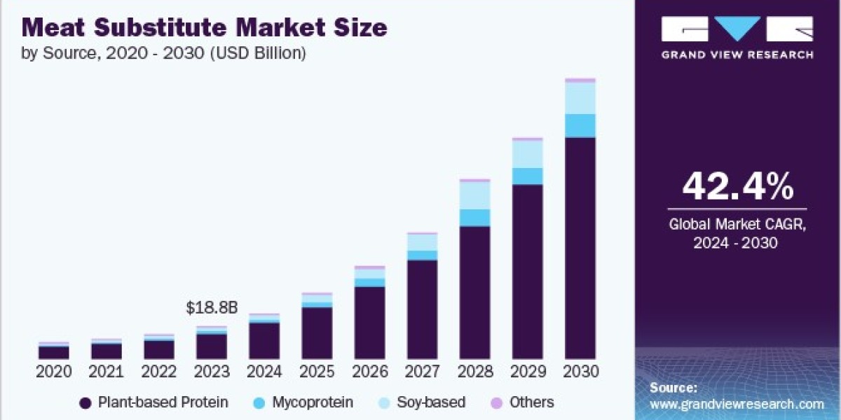 Meat Substitutes Market Growth: Key Trends Shaping the Future of Plant-Based Protein Options