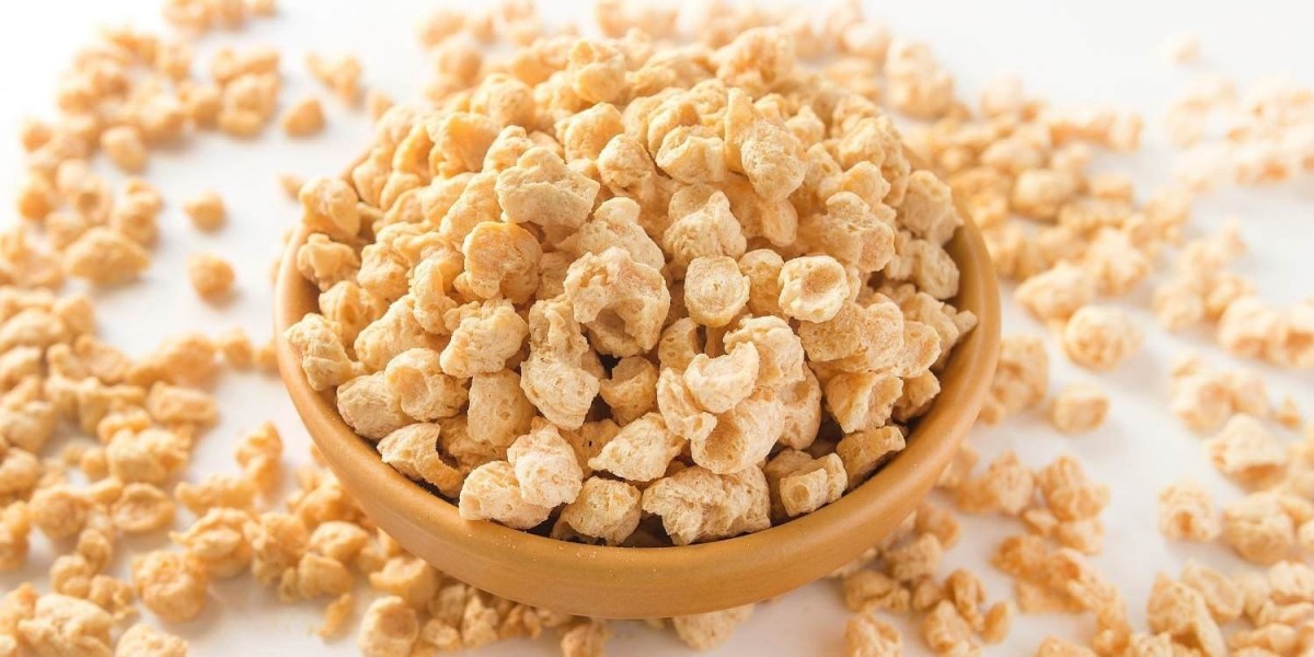 Textured Vegetable Protein Market Size, Share, Analysis and Forecast 2022 – 2032