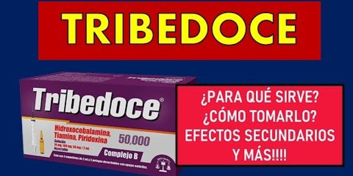 El lugar donde se debe poner la ruda en la casa para atraer la abundancia, según el Feng Shui