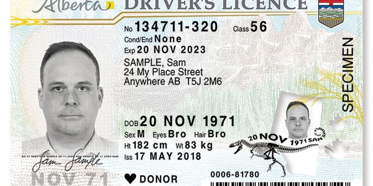 Buy Real Drivers License Without an Exam in 5 days