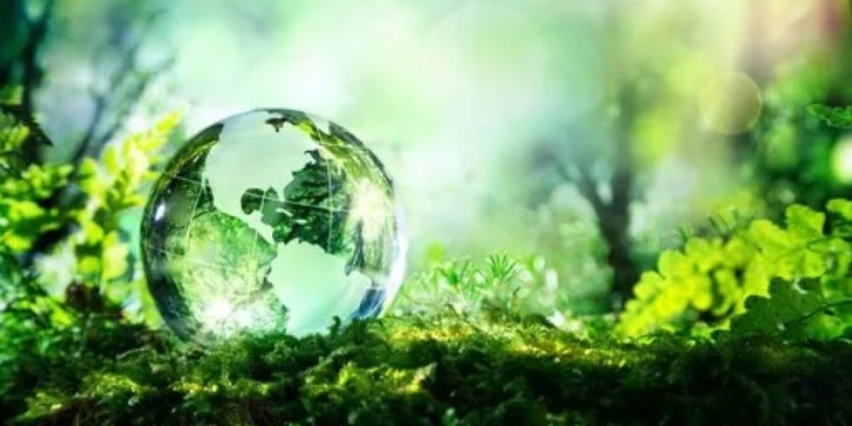 Environmental Consultants: Protecting Our Planet and Guiding Sustainable Practices