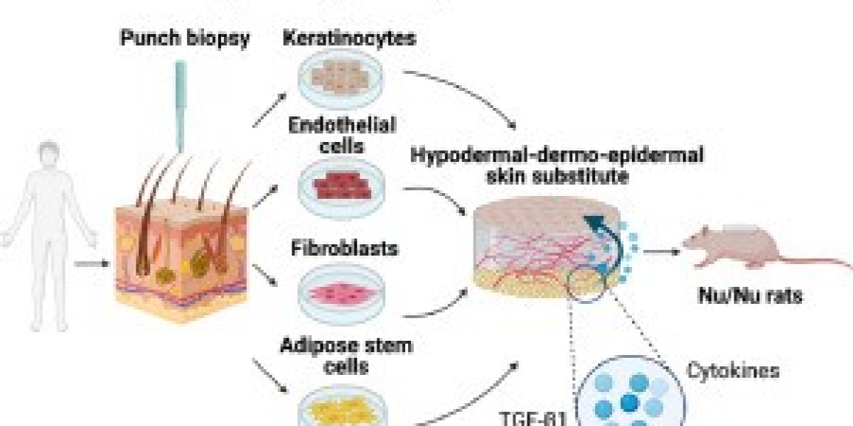 Biological Skin Substitutes Market Size Expansion to Drive Significant Revenues in the Future