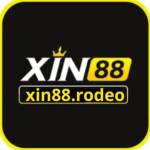 xin88 rodeo