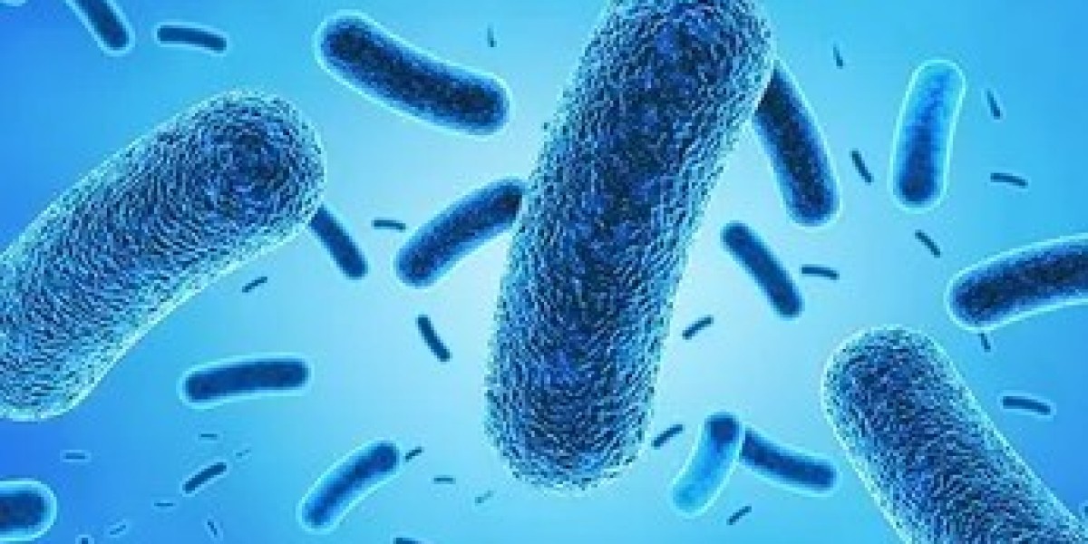 Antimicrobial Coatings Market by Product Type & Application: Global Forecasts and Trends (2024–2034)