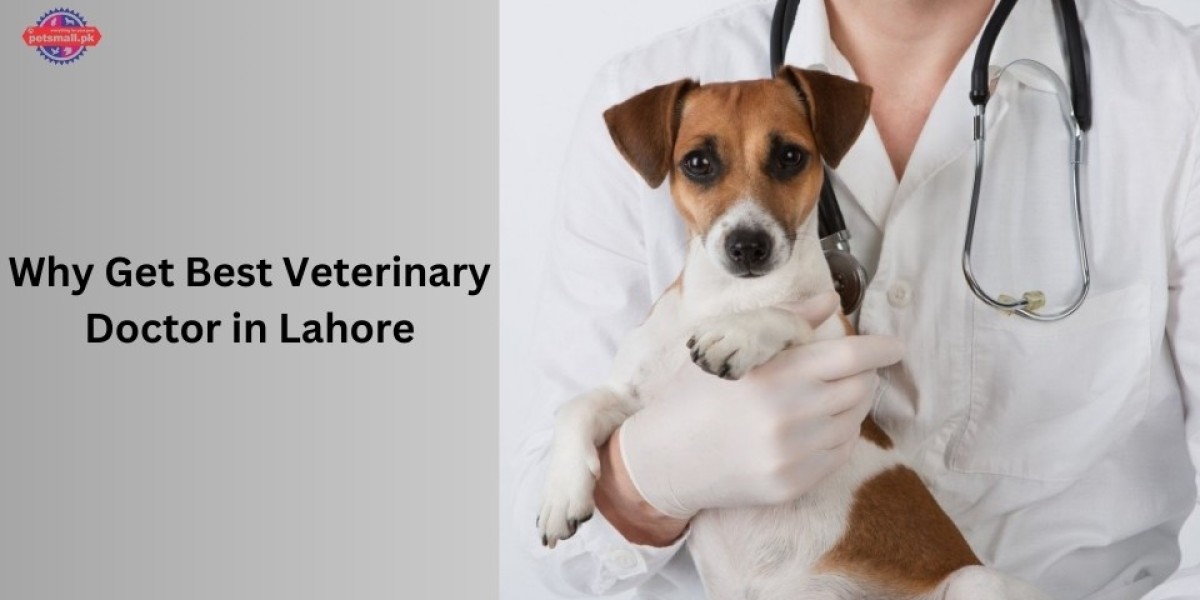 Why Get Best Veterinary Doctor in Lahore