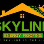 Roof Repair Near Me