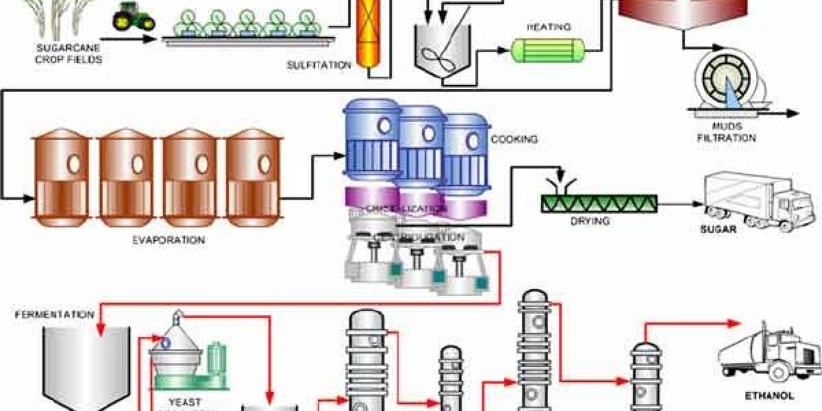 Renewable Ethanol Market By Type, By Application By Geographic Scope And Forecast 2023-2033