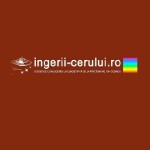 ingerii cerului