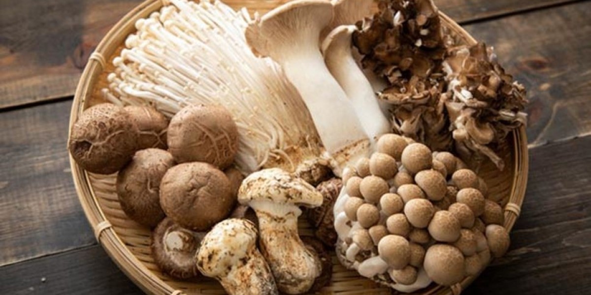 Mushroom Market Industry Experiences Growth with Rising Consumer Interest in Fresh and Organic Produce