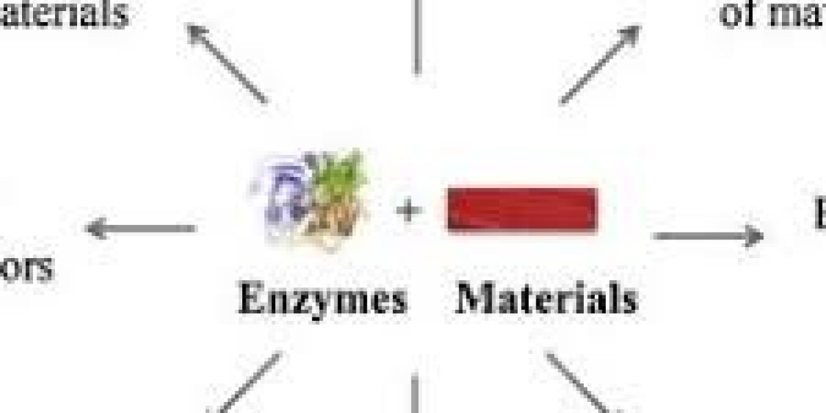 Enzymes Market Expected to Reach USD 27.58 Billion by 2034, Driven by Steady 4.9% CAGR