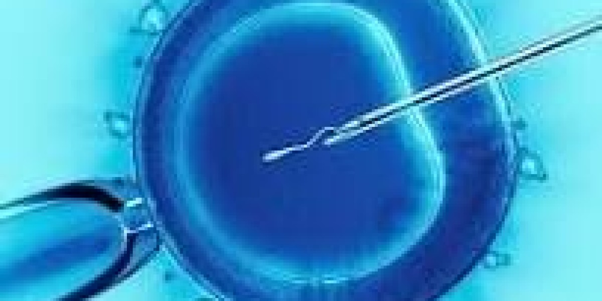 China In-Vitro Fertilization Market Size And Forecast Report 2024-2032