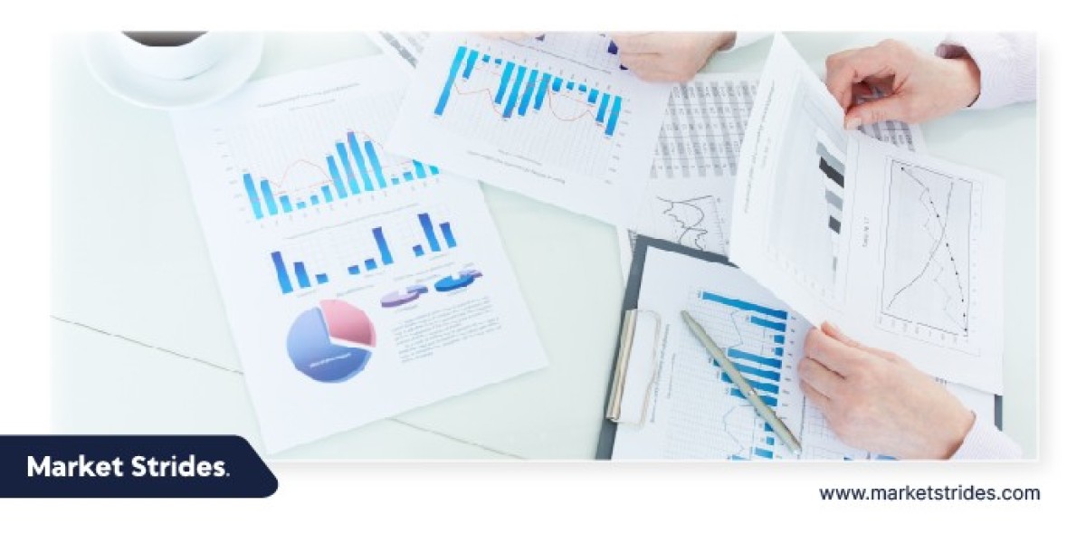 Analog Megohmmeters Market Size, Share And Trends by Forecast 2025-2033