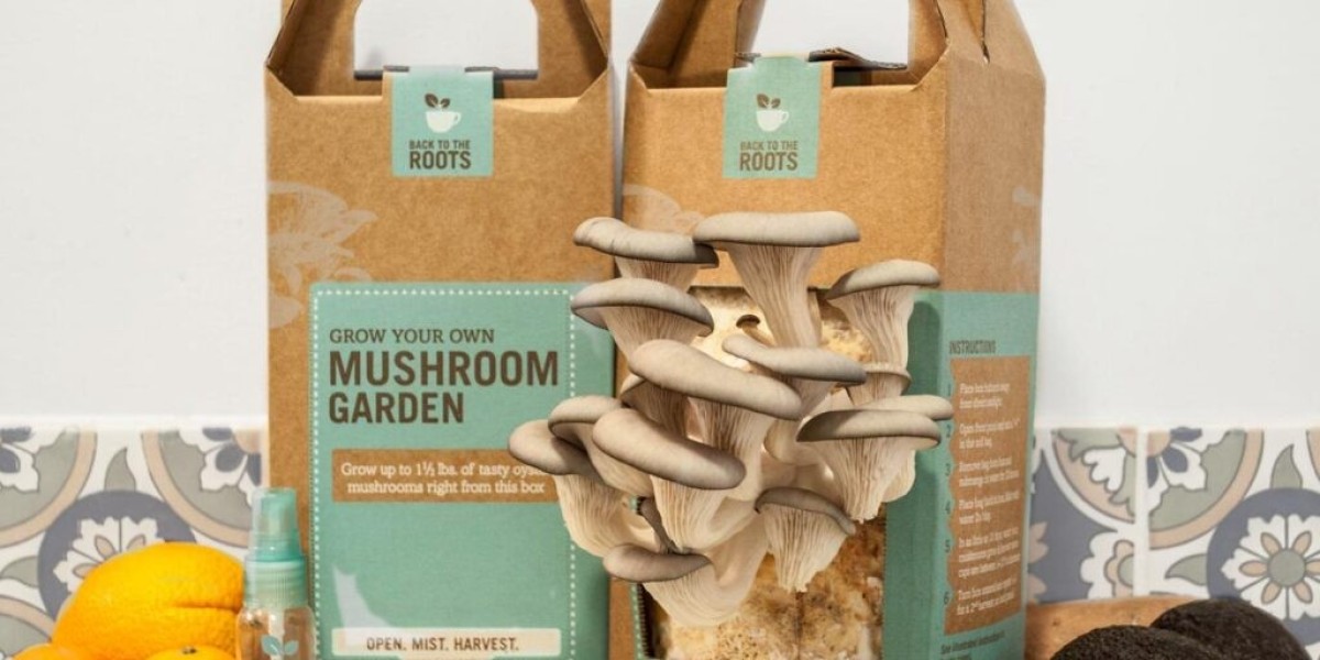 Premium Mushroom Boxes: Quality You Can Trust