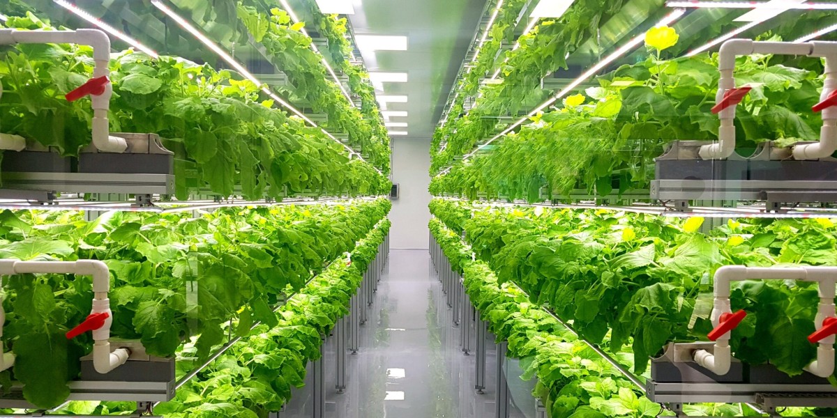 Japan Indoor Farming Market Analysis: 2033 Forecast Insights