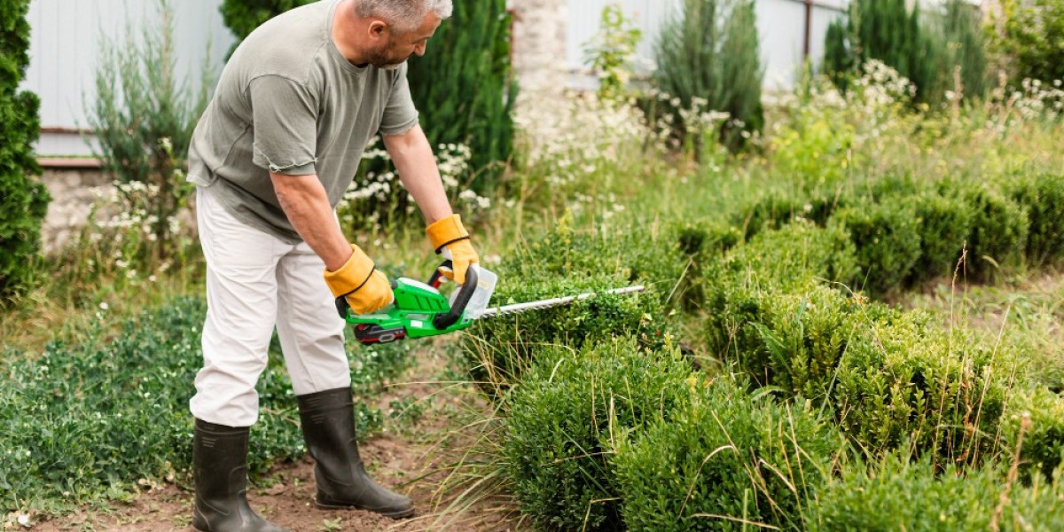 Transform Your Outdoor Space with Expert Garden Landscaping Services in Melbourne