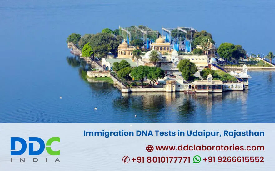 Immigration DNA Tests in Udaipur - Accurate & Affordable