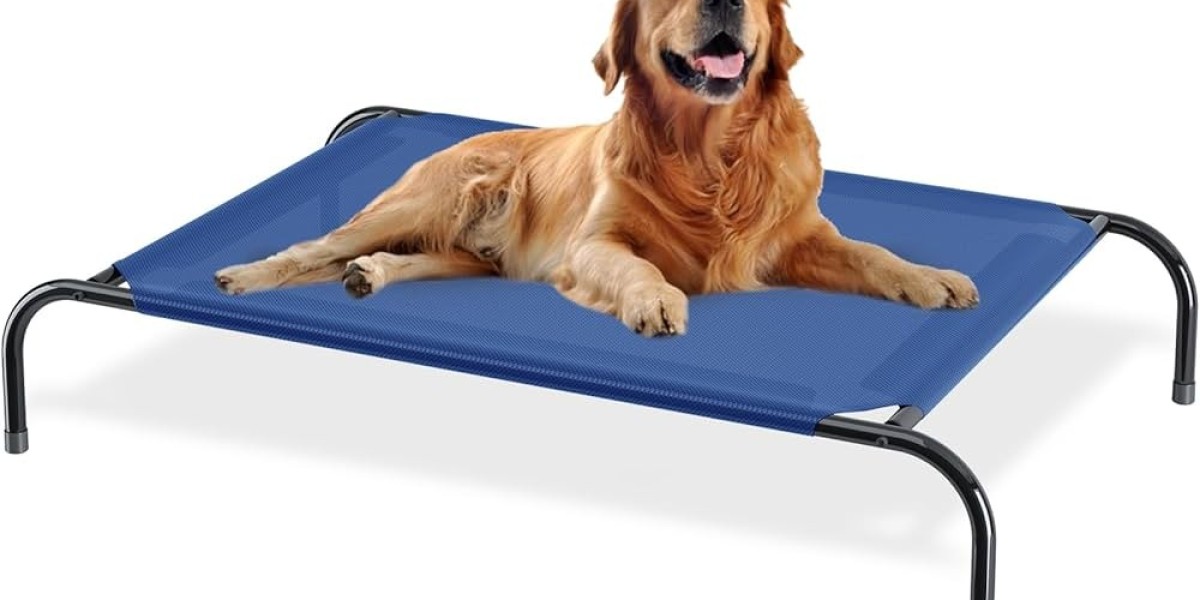 How the Right Pet Bed and Washable Elevated Pet Bed from Petitz Can Improve Your Pet's Daily Routine