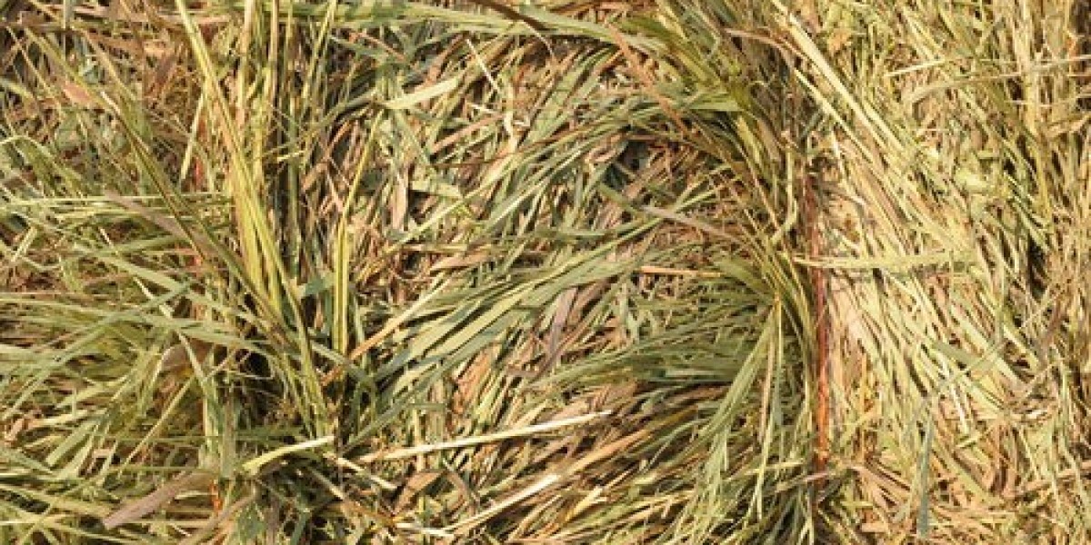 Buy Oat Hay for Sale – Premium Quality at Hay Bales For Sale