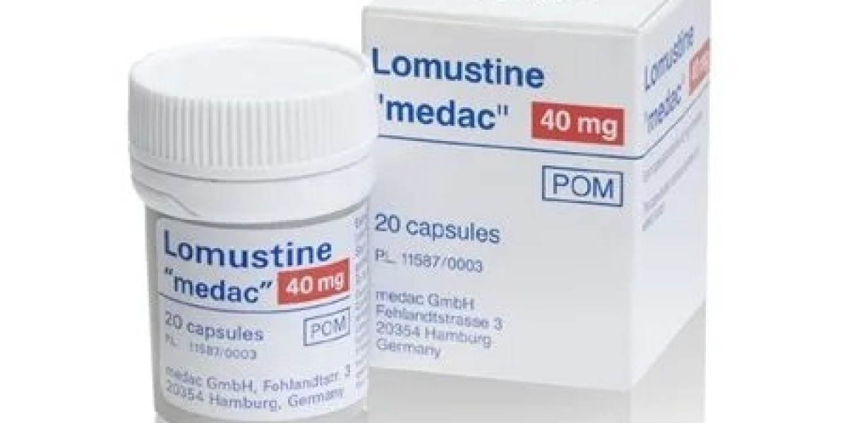 Lomustine Market Segmentation: Drug Formulation and End-User Insights