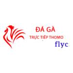 Đá Gà Trực Tiếp Thomo Hôm Nay