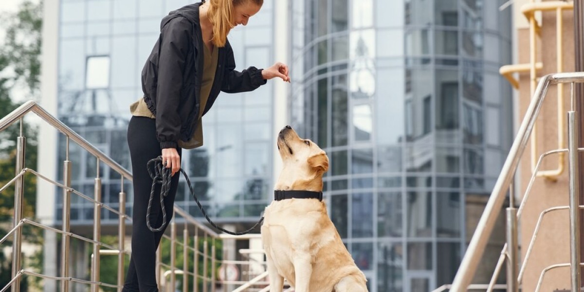 The Future of Pet Training in the United States: Market Outlook and Opportunities