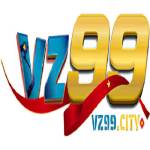 Vz99 city