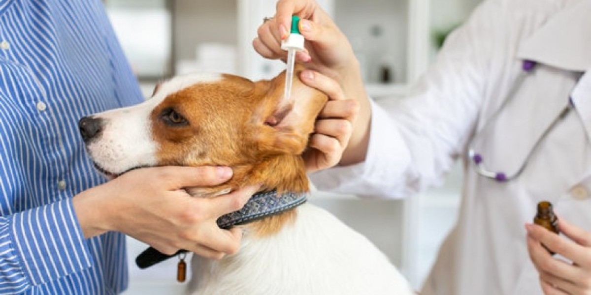 Blood Tests For Dogs: When, How & How Much, Huntersville Veterinary Diagnostics Lab