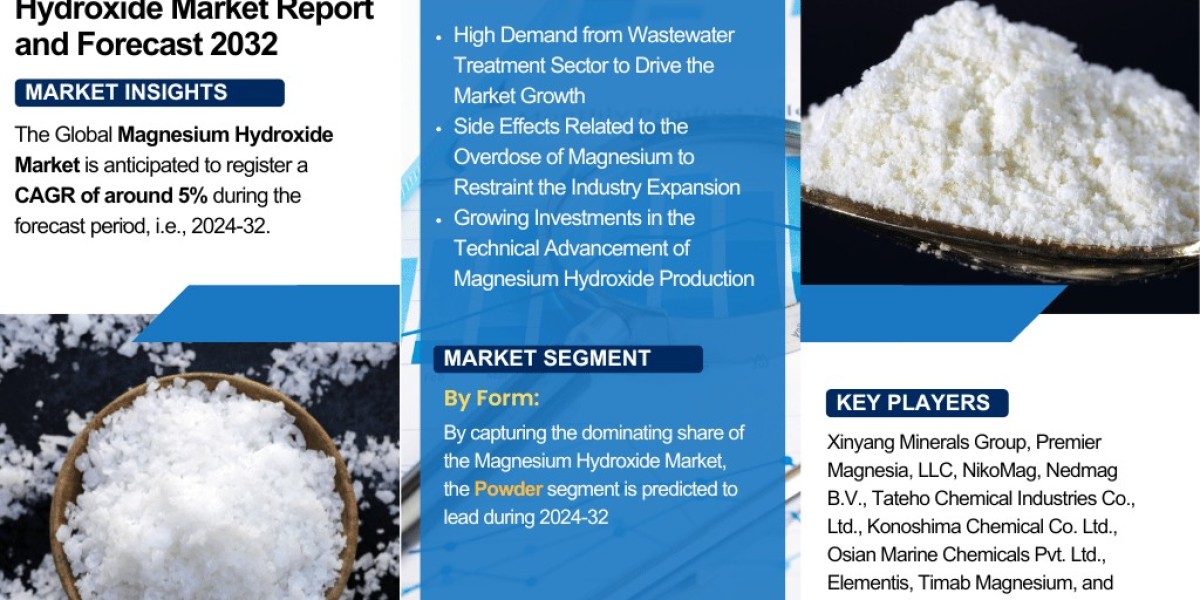 Magnesium Hydroxide Market Insights: Trends, Growth, and Forecast to 2032 – The Report Cube