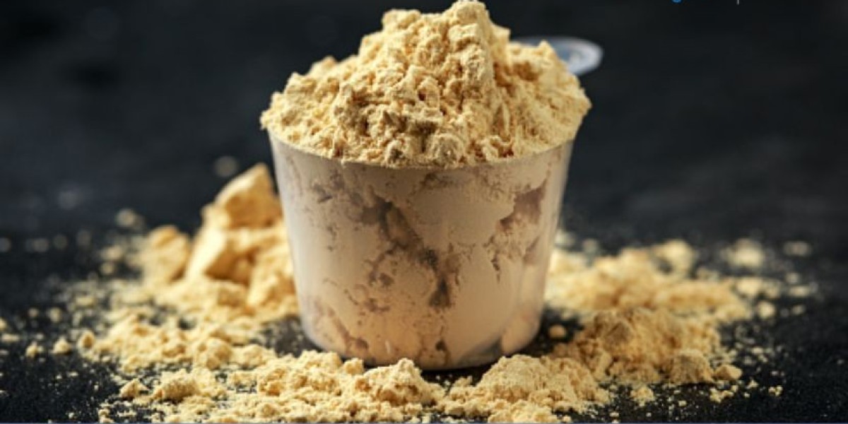 Australia Whey Protein Market Size, Share, Trends & Forecast | 2034