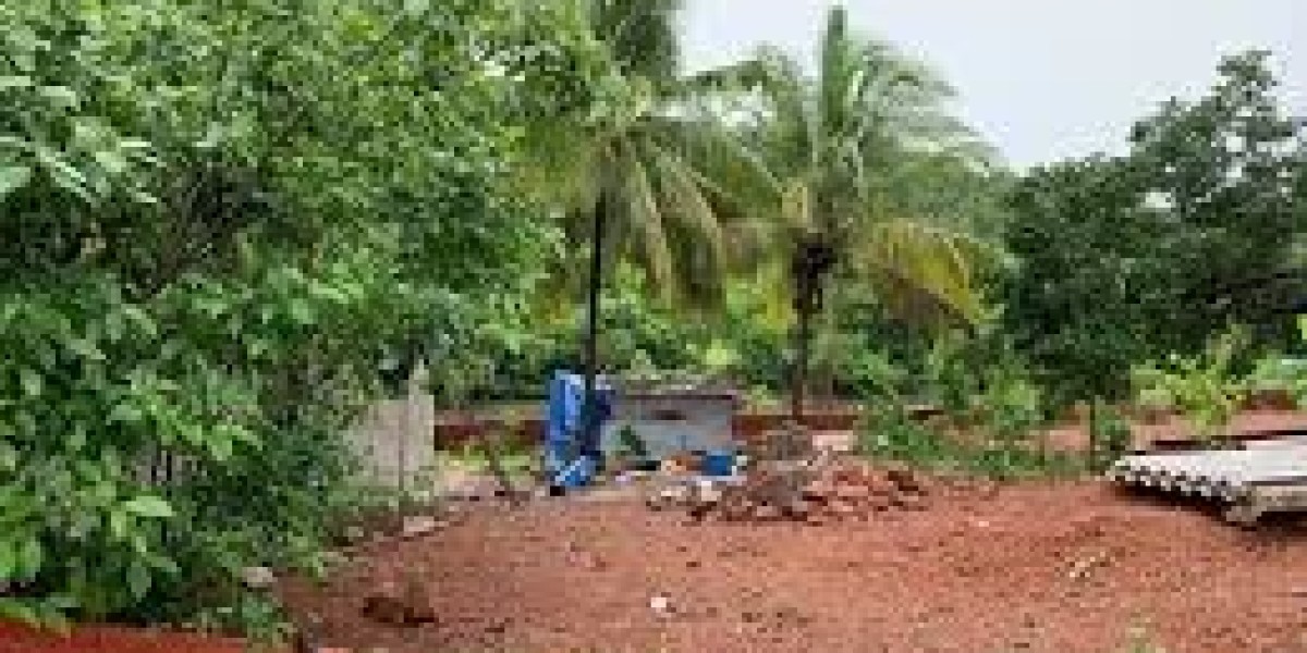 A Connection to Goa’s Soul with Cheap Land For Sale in Goa