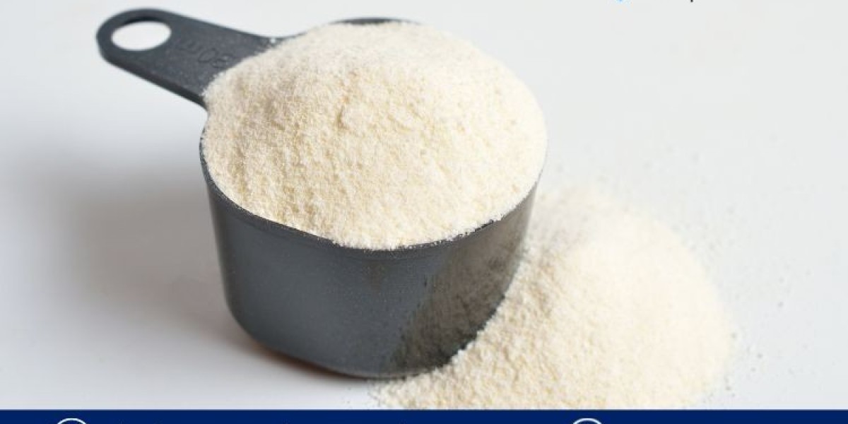 Guar Gum Powder Market Analysis, Trends & by 2034