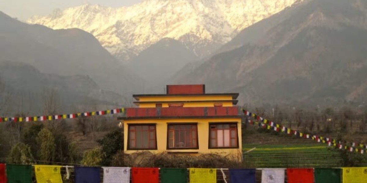 Explore the Unseen Side of Dharamshala Beyond McLeod Ganj