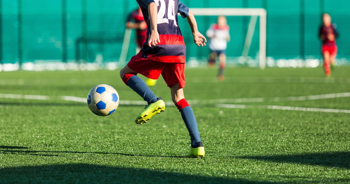 Best Sport Grass in Perth for Perfect Playgrounds