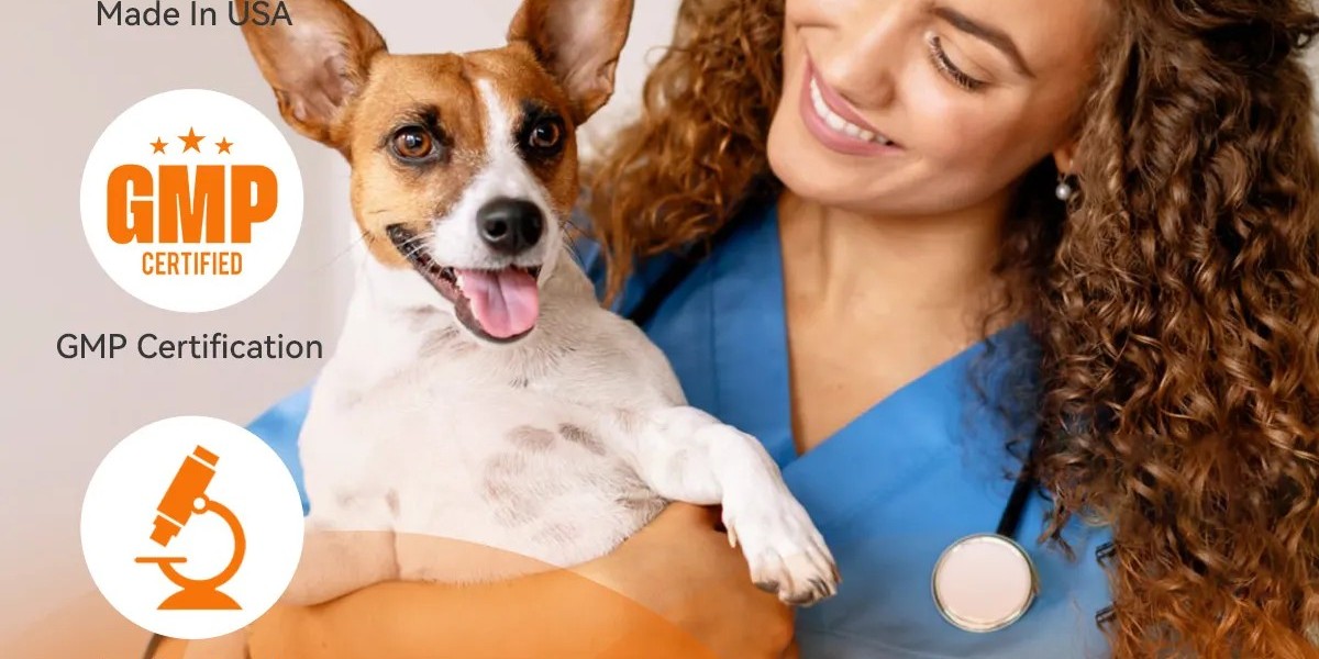 Summer Skin Care for Dogs: Protecting Your Pet from Hot Spots and Skin Irritations