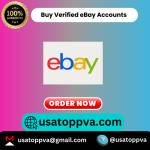 Buy Verified eBay Accounts