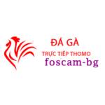 Đá Gà Trực Tiếp Thomo Hôm Nay