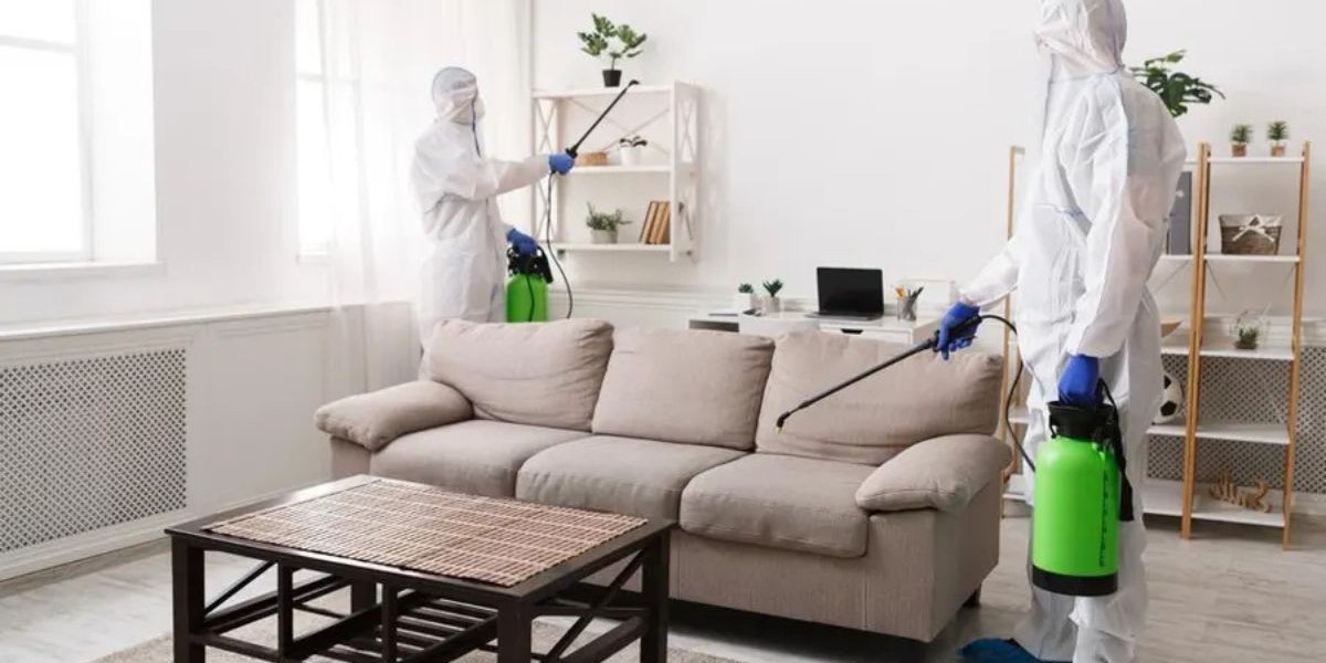 12 Eco-Friendly Pest Control Methods in Riyadh