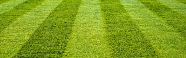 How To Find Cheap Wholesalers of Artificial Grass Suppliers?